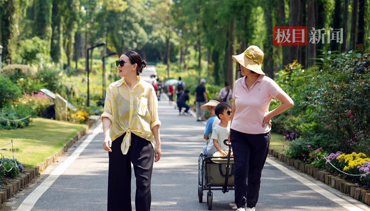 奔驰宝马老虎机怎么打